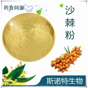 沙棘粉 速溶精细粉末 喷雾干燥 食品原料 斯诺特生物