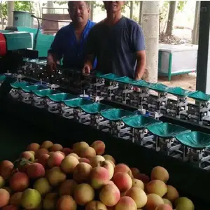 �������ķ�ѡ������ ˮ��ѡ��������ϸѡ��ѡ�������Ĵ�С�ȼ��Ļ���
