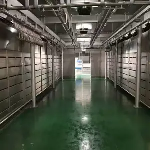 定制低温高湿解冻机 四分体牛肉缓化库 冻转鲜设备 操作简单