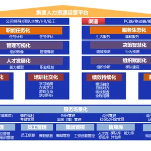 宁波本地人力资源管理软件怎么用 斯勘隆科技供应