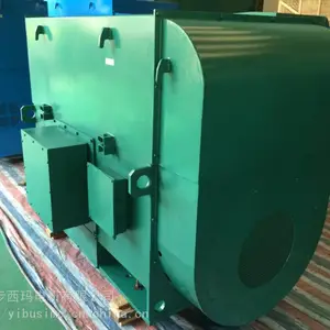 ����̩������������Y5002-10/250KW/10KV��ѹ�����չǰ��***