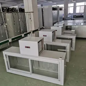 艾雪挂墙式冷藏展示柜 北京小厨房壁挂式冷藏柜 悬挂式不锈钢推拉门展示柜
