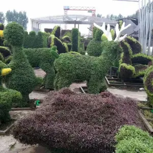 ���츻ǿ����������г�����ü�԰ϲ�촺�ڵ���