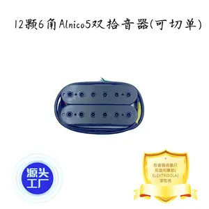 ݺ̩�缪��12��6��Alnico5ʮ��������˫ʰ����(���е�)