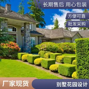 昌平户外设计园林绿化高尔夫草坪基地混播草坪出售