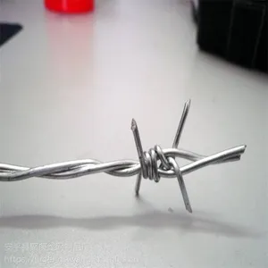河北刺绳围栏_刺绳防护网_正反拧钢丝刺绳_厂家直供_现货批发