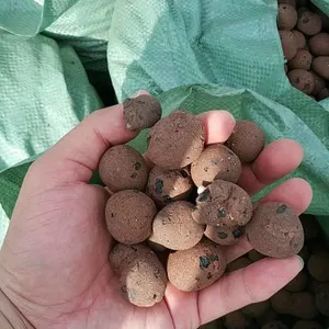 ������ѡ����������Һ����������Ž���