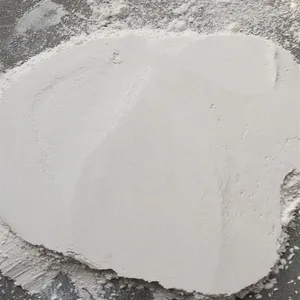������ ʳƷ���Ӽ������� �����ó�Ӯ