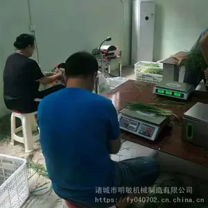 ����ֱ�����Ͼ²�ȥƤ�� �²�ȥ��� ����ȥƤȥ��һ�����������