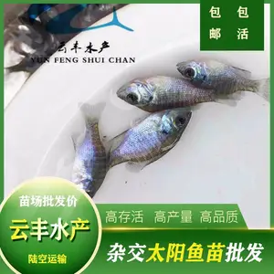 �����泡�޷����� ��ˮ̫������ �������۸�