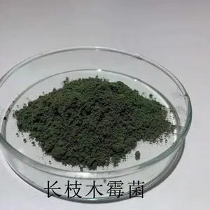 ��Ӧ�ݺ� ��֦ľù�� 10-50��/�� ���ز翹�������� �޸�����