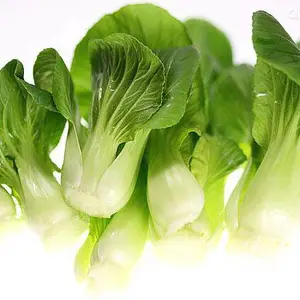 杭州食堂承包 宁波食堂承包 绍兴食堂承包 嘉兴食堂承包 湖州食堂承包