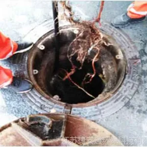 管内树根切除