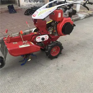������ũ�ø���ʩ�ʻ� ����Ģ����ֲ������ ���ͺĻƽ�������¢��