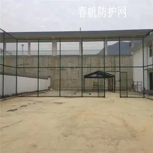 ���������������������˶�������Χ�� ��������ɫ����˿����Χ��
