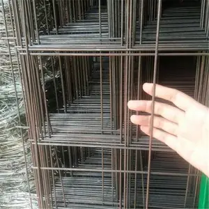 ���µ纸��Ƭ ��п�纸��Ƭ ��ֳ�纸��