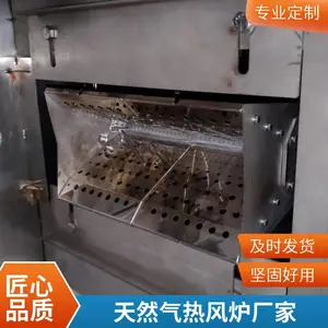 岱鼎燃烧 烘干除湿直燃炉 燃油燃气热风炉 化工物料加热炉