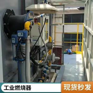岱鼎炭化炉焙烧炉3000KW天然气烧嘴 源头燃烧器厂家 可定制
