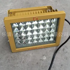 50W40W 防爆灯led 防爆led照明灯厂家直销