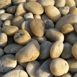 荣茂彩色鹅卵石厂家 景观摆放 滴水檐 公园铺路鹅卵石规格齐全