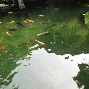 ������ع��˾���ˮ��������