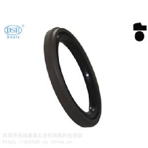 广东东晟耐高压阶梯密封件DSJ生产厂家