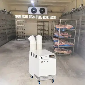 猪肉解冻库加湿器 牛羊肉缓化库加湿机