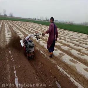 �ջ���ֲ������ ����԰����ʩ�ʿ����� ��ʥ��е