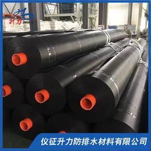 防渗土工膜厂家飞灰填埋库HDPE防渗膜光面糙面膜