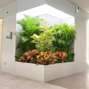 总部基地花卉绿植出租 办公花卉绿植租摆出租公司