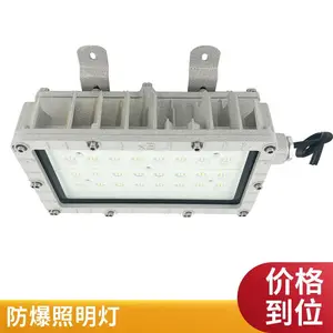 防爆路灯头 园区危化道路户外防水隔爆型 LED 照明灯