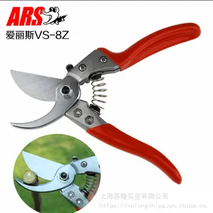����˹��ARS��VS-7Z��֦�� ��֦�� ��֦�� ����԰�չ���