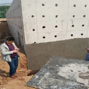 ��ɭ�������������һ�����֬����