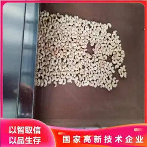 五谷杂粮烘焙机 微波杂粮熟化设备 微波坚果烘焙熟化一体机
