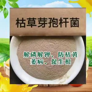 山东专业供应农业水产微生物菌粉枯草芽孢杆菌