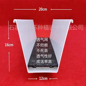 ��ݮ����������ֲ����ֲ��,���������,PVC�����