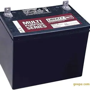 西恩迪蓄电池12-40N LBT阀控式铅酸电池12V40AH直流屏UPS电源