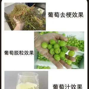 全自动葡萄果汁果酒生产线设备,葡萄除梗机、粒选机、榨汁机