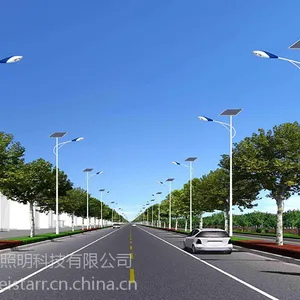 江苏扬州路灯厂城镇太阳能路灯 8米 LED路灯 整灯 户外照明
