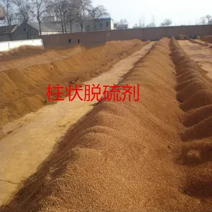 ��Ӯ ����������������� �������������������