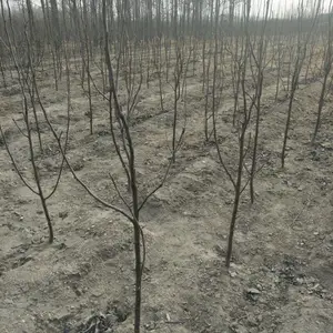 1�������� ����7�������� ��Ʒ��Ч��õ���Ʒ��