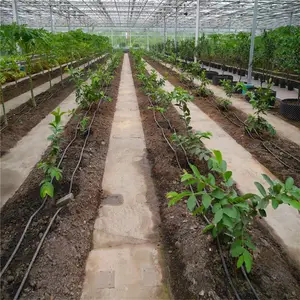 花卉温室吊挂微喷安装施工多少钱一亩