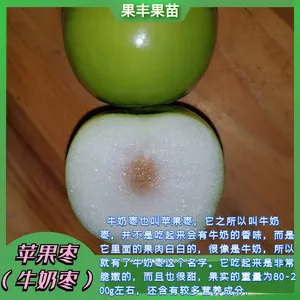 ̨��ţ���������������� �۸����