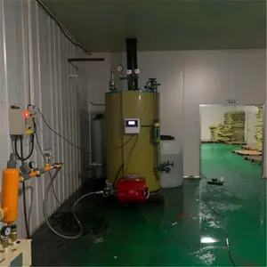 烘干木材使用蒸汽锅炉 燃气锅炉 立式蒸汽发生器 一体化出厂