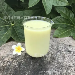 越南进口NFC青柠原汁|柠檬原汁|餐饮饮料行业用|浊汁