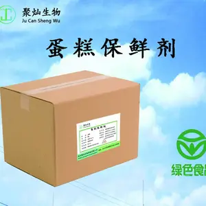 ���Ᵽ�� �人�۲� ���Ᵽ�ʼ���������