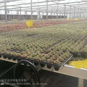 资阳育苗床网设计汉明移动式高架育苗床实体厂家