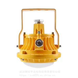 尚为SEVAZM 安防监控防爆灯 等级IP65 全铝小椭圆 111V~240V