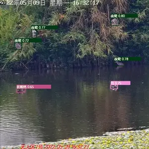 Play Ӣ������AI�ǻ�����۲� AI����ʶ����Ⱥʶ��ϵͳ