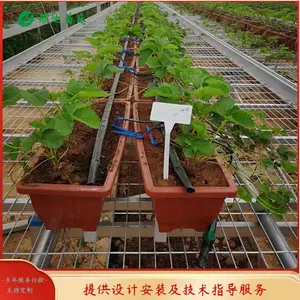 大棚蔬菜育苗备春耕 热镀锌育苗床育苗好处多多 航迪苗床